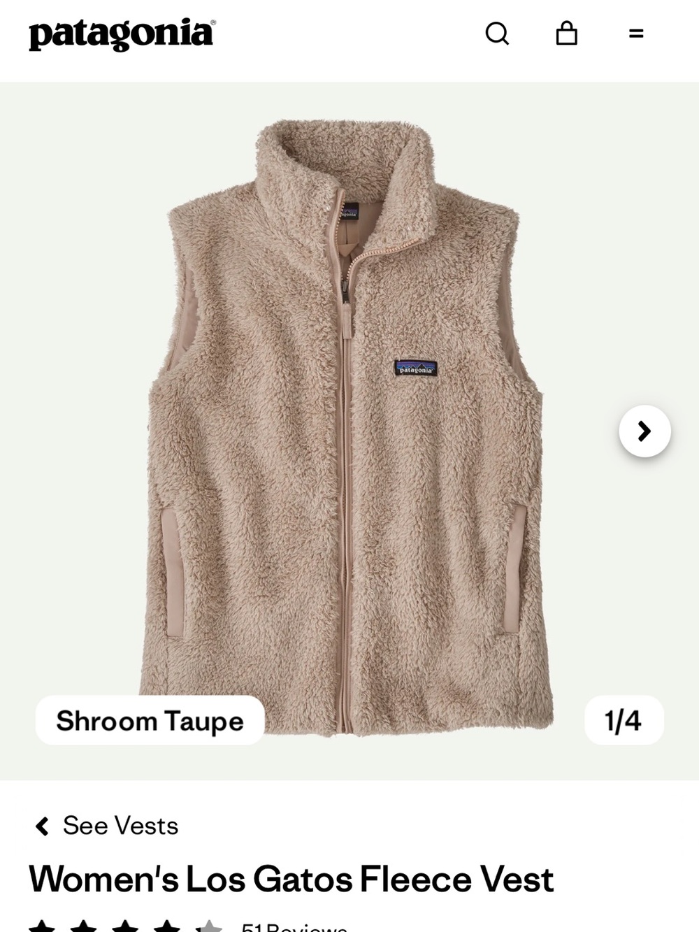 Patagonia Vest
